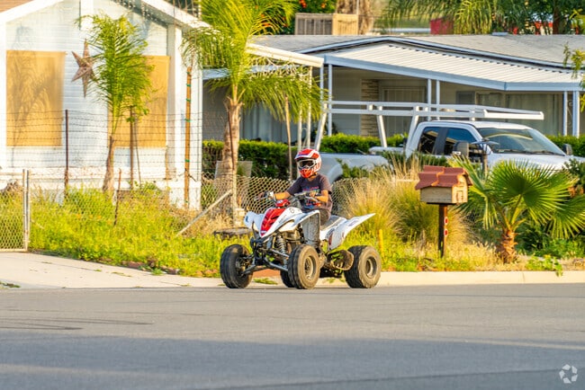 Experience the thrill of off-roading in Homeland's rugged terrain.