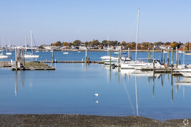 There is great bird watching near Cottage Park near the ferry dock.