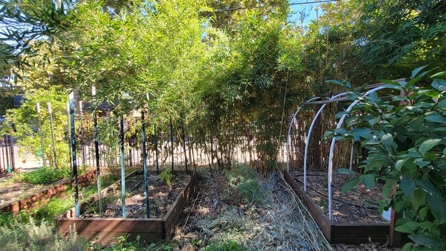 3116 San Carlos Way, Sacramento, CA 95817 - photo 5