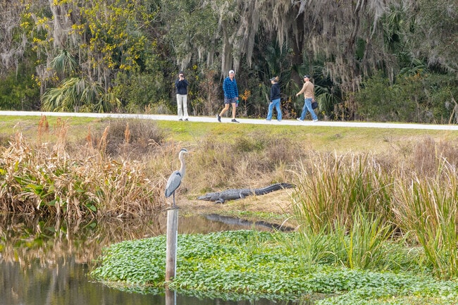 On Gainesville's southern end, the 125-acre Sweetwater Wetlands Park is home to an abundance of wildlife.