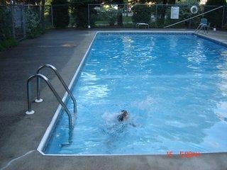 39 Smithwheel Rd, Old Orchard Beach, ME 04064