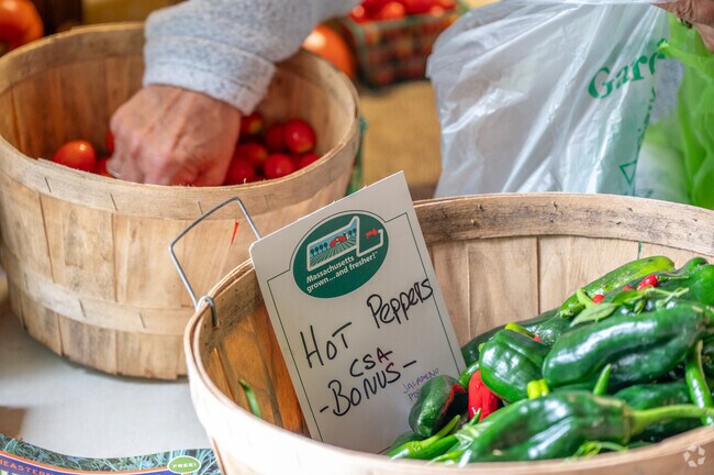 Grab some locally grown green peppers in Redgate Corner.