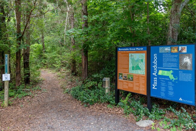 Great Marshes in West Barnstable provide miles of brilliant hiking trails.