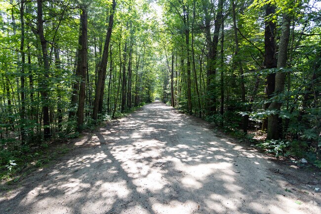 You can enjoy a walk in the woods in Pinardville.