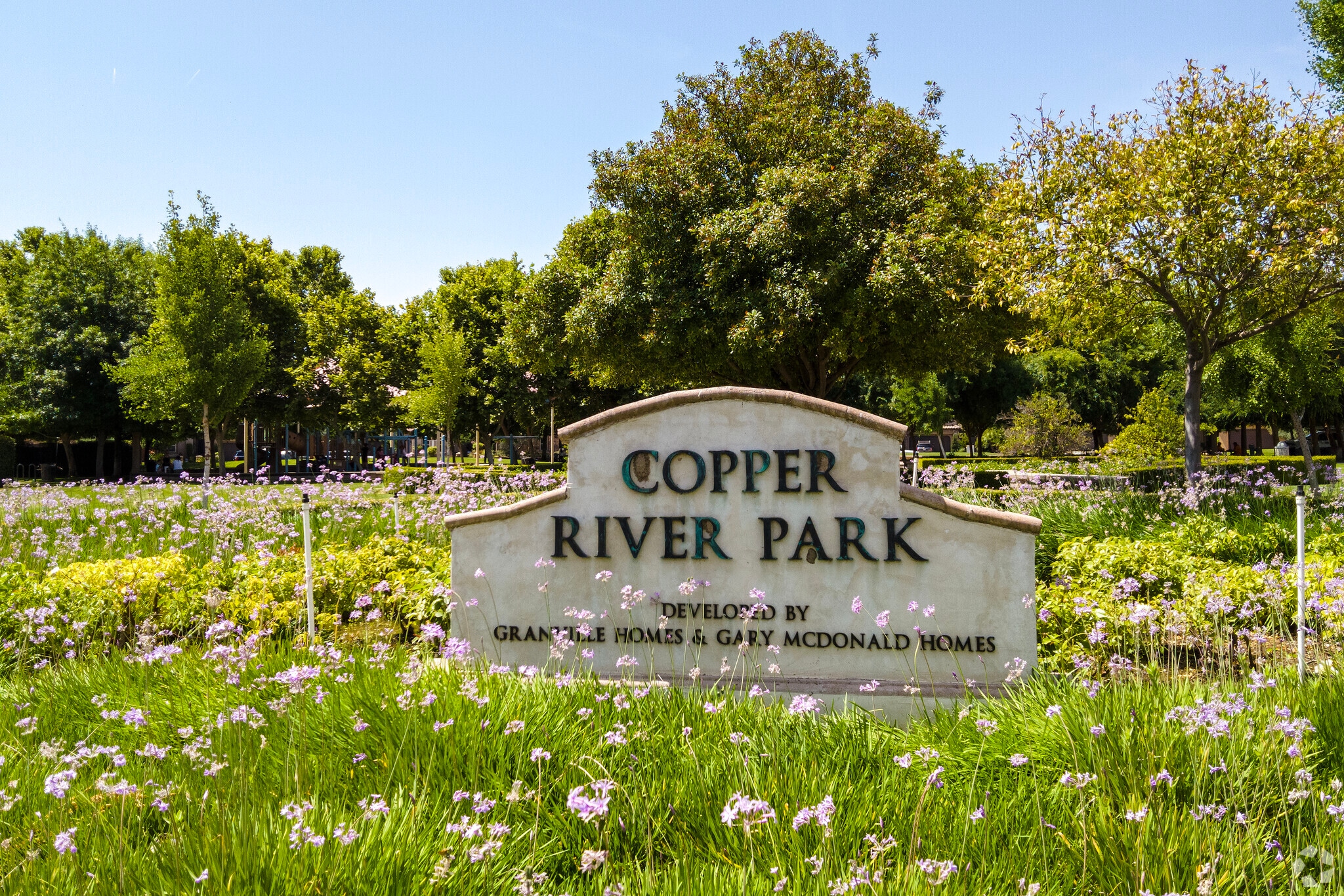 About Northeast Fresno Schools, Demographics, Things to Do