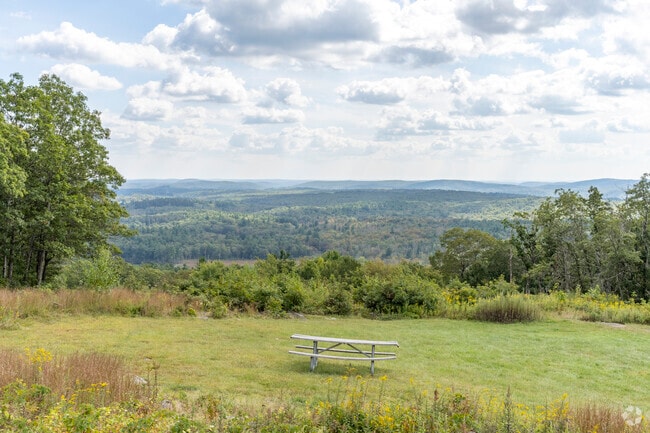Mohawk State Forest offers ample areas for a picnic.