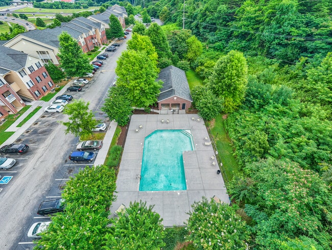 Cassell Ridge, Knoxville, TN 37912 - photo 6