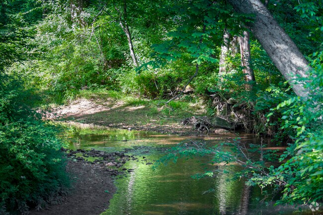 Oakton has many scenic views as you walk the local trails.