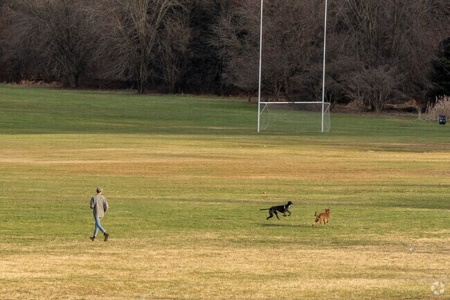 Waltherson pet owners love Herring Run Park's 375 acres of woodlands and outdoor amenities.