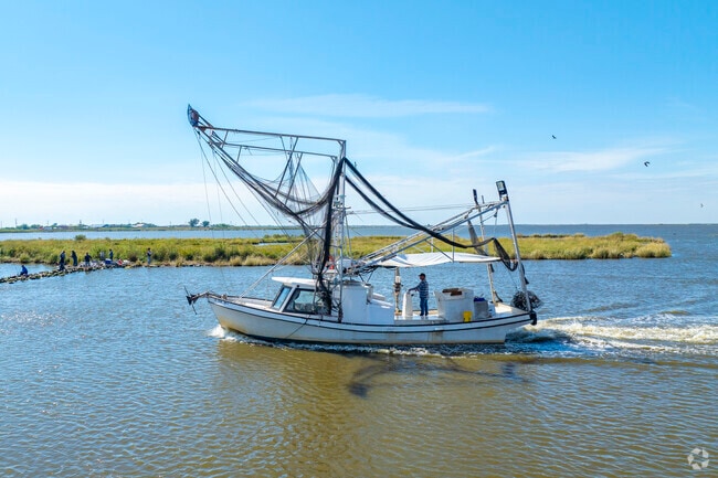 Shrimping boats ply the Gulf, selling their catches to local seafood companies.