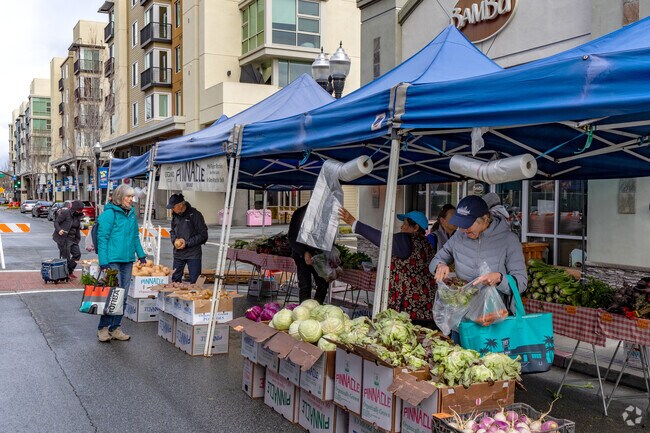 Snail residents can shop at the Sunnyvale Farmer’s Market on Saturdays.