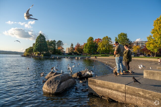 Enjoy a lovely afternoon watching the birds on the water at Marina Park near Moss Bay.