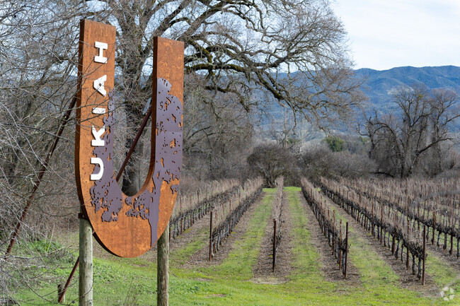 Ukiah is a well known wine growing region with plenty of tasting rooms to enjoy.