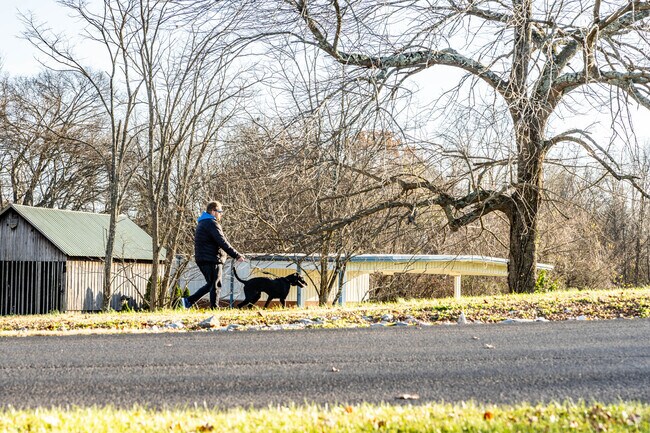 Locals can take their dogs for a walk in Richland Park in Portland.