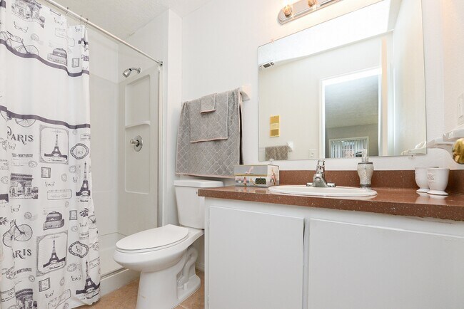 Reserve at Lake Pointe Apartments and Townhomes, Saint Petersburg, FL 33712 - photo 6