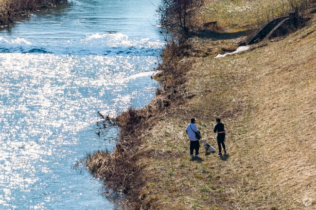 Dog walkers enjoy Onondaga Creek in Nedrow.