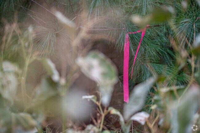 Westville plays host to numerous hiking and biking trails with plenty to explore.