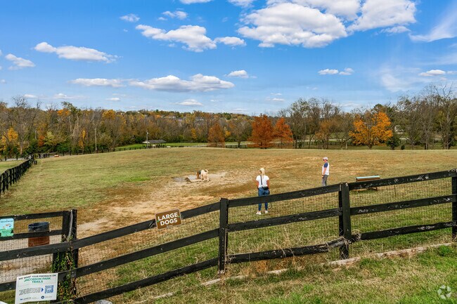 Boone Creek East residents enjoy socializing their furry friends at Jacobson Dog Park.