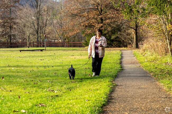 A dog takes her owner for a walk along the trail at New Stanton park.
