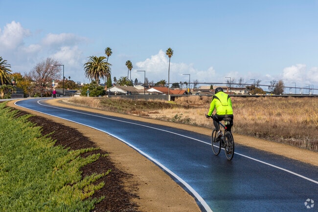 Shorebird Park connects to the Bay Trail which is perfect for bicycling.