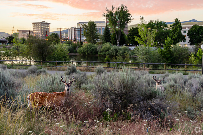 Toole Park features river access, a view of downtown Missoula and wildlife.