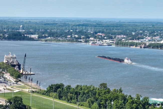 A local barge making it's way down the Mississippi River, just off the banks of Leonidas.