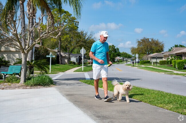 Sunny sidewalks for man and his best friend.