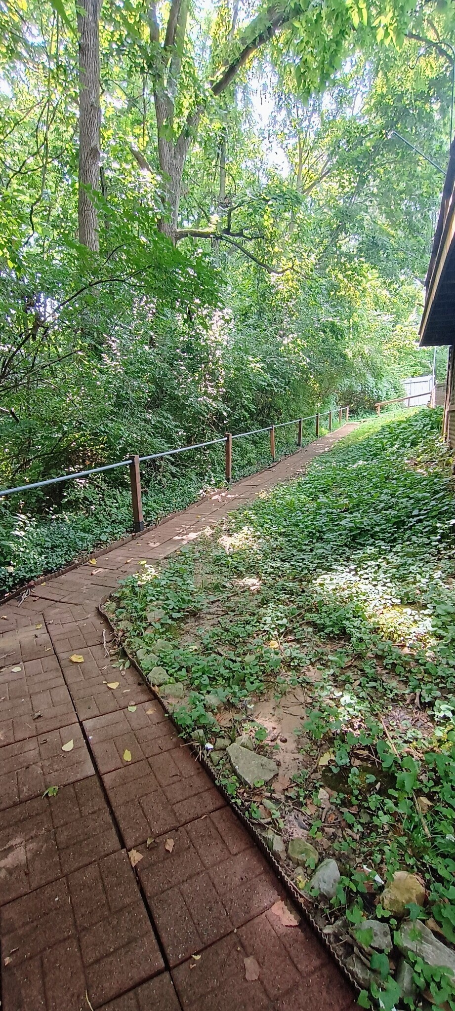 906 Bitterfield Dr unit Executive furnished, Ballwin, MO 63011 - photo 1