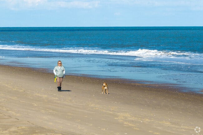 Take your dog out for a walk in Bethany Beach.