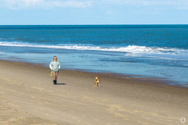 Dagsboro residents can walk Bethany Beach with their furry best friend.