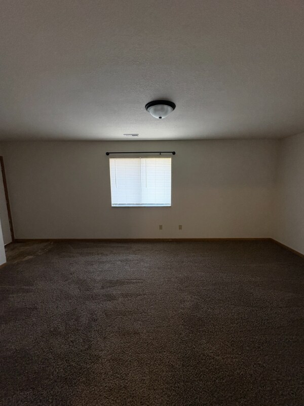 1015 N St Joe Dr unit 12, Park Hills, MO 63601 - photo 4