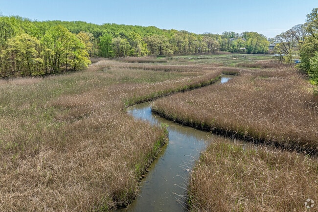Lemon Creek Wetlands gives the residents of Prince's Bay lots of wooded areas and wildlife.