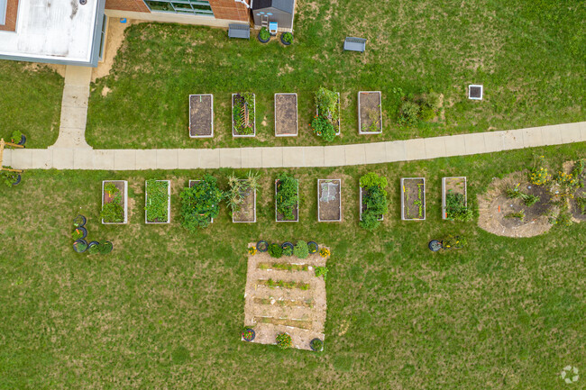 Attend to community garden at Hambright Elementary School.