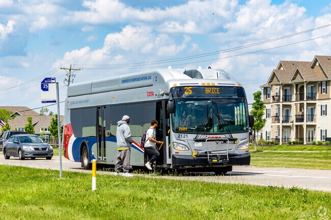 The Central Ohio Transit Authority operates bus stops on Gender Road.