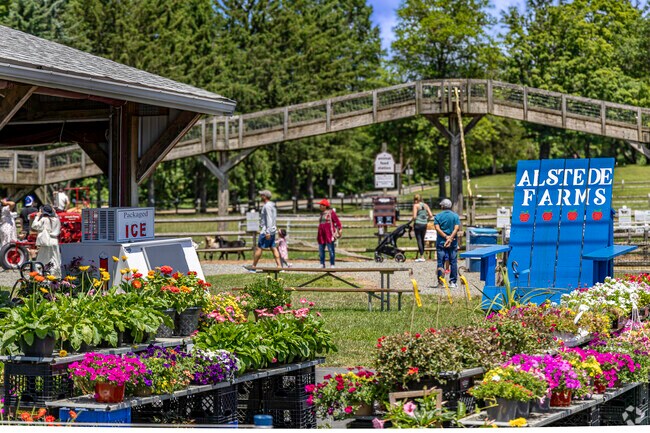Alstede Farms in Chester Flanders offers an array of high-quality, local fruits and vegetables.