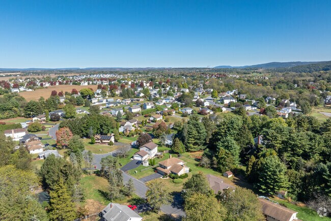 Homes in Chestnut Hill back onto wooded lots and winding roads.