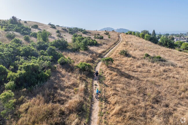 Alston Park is a popular park for birding, hiking, and horseback riding.