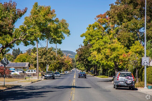 Vineyard Estates' tree-lined streets provide necessary shade in the California heat.