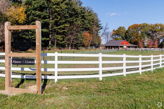 At Hartland you can also find Alpaca & Llama farms.
