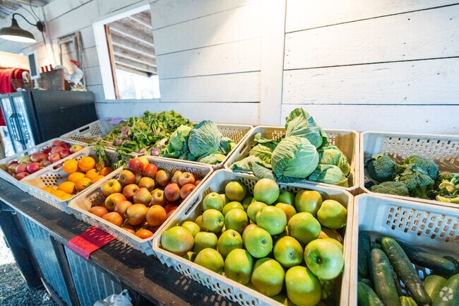 Ashlan Meadows is a small family farm providing fresh local produce.