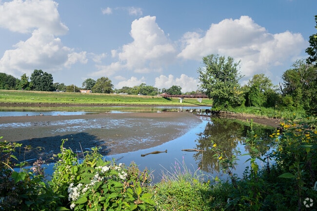 A variety of birds and other wildlife thrive at Bladensburg Waterfront Park.