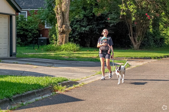 It's time for a walk along a quiet street in Ardmore-Gould Estates-Olin Heights.
