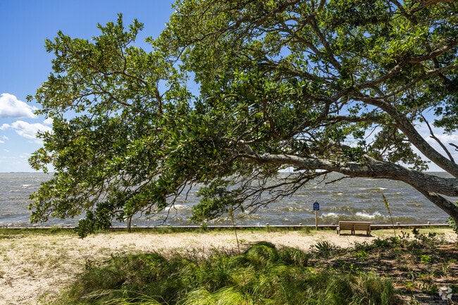 A peaceful bench in Colington Harbour's dog park offers serene views of the sound.