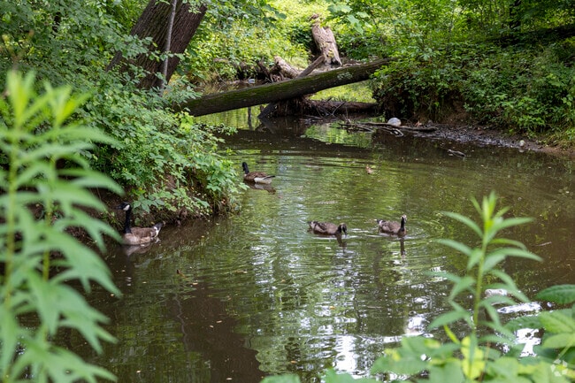 Step off the beaten path and discover natural wonders sprinkled throughout Jefferson.