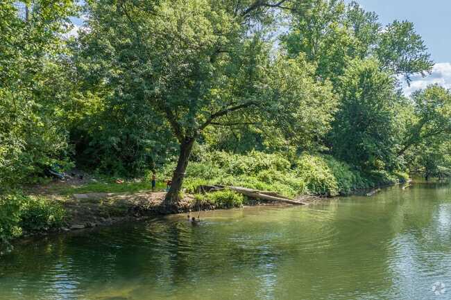 Sixth Ward residents love cooling off in the Schuylkill River.