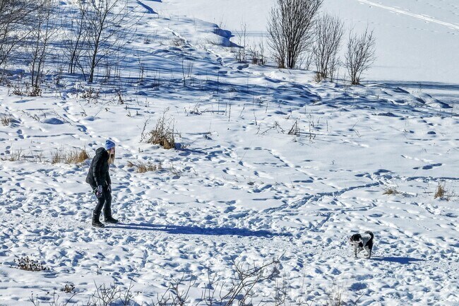 Valley West Park in Flanders Mill offers space to play with your loved pets even in winter.