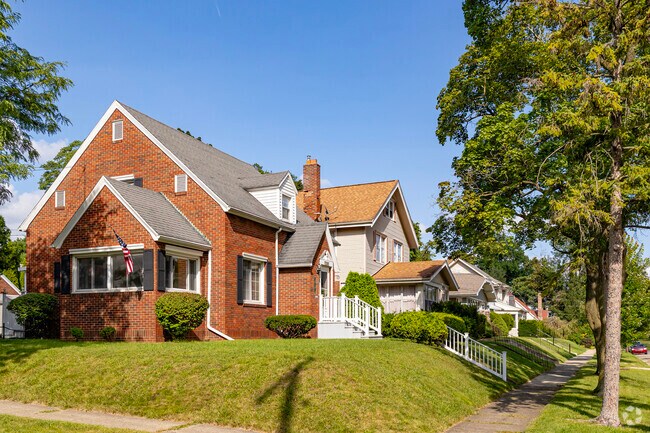 Rows of national folk homes line the hills behind Henry Ford Hospital in the Health District.
