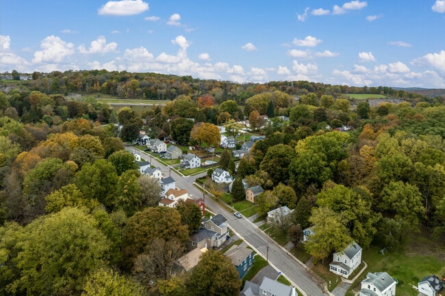 Mature trees envelop the nice variety of homes in Camillus.