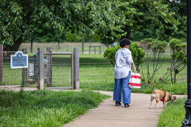 Take your furry friends to Pennington Park.