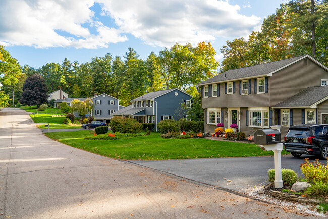 A row of homes in Southwest Nashua have tall towering shady trees in their backyards.